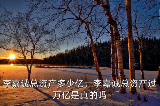 李嘉誠總資產(chǎn)多少億，李嘉誠總資產(chǎn)過萬億是真的嗎