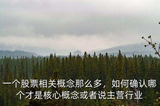 一個(gè)股票相關(guān)概念那么多，如何確認(rèn)哪個(gè)才是核心概念或者說(shuō)主營(yíng)行業(yè)
