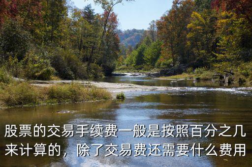 股票的交易手續(xù)費一般是按照百分之幾來計算的，除了交易費還需要什么費用