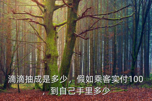 滴滴抽成是多少，假如乘客實(shí)付100，到自己手里多少