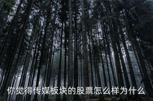 你覺(jué)得傳媒板塊的股票怎么樣為什么
