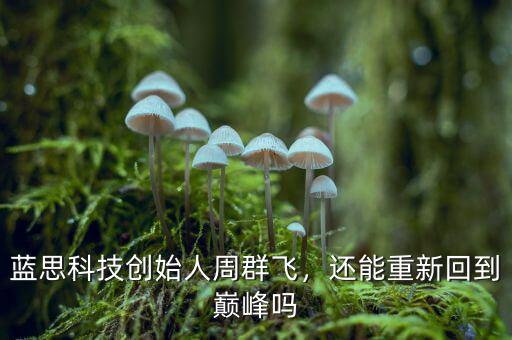 藍(lán)思科技創(chuàng)始人周群飛，還能重新回到巔峰嗎