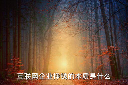 東軟企業(yè)的本質是什么,互聯(lián)網(wǎng)企業(yè)掙錢的本質是什么