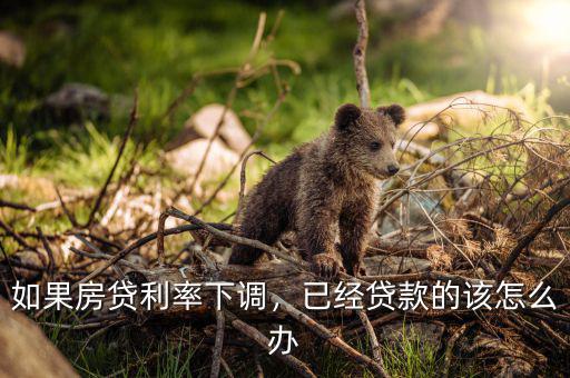 如果房貸利率下調(diào)，已經(jīng)貸款的該怎么辦