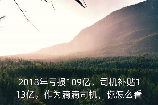2018年虧損109億，司機補貼113億，作為滴滴司機，你怎么看