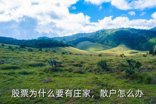 股票為什么要有莊家，散戶怎么辦