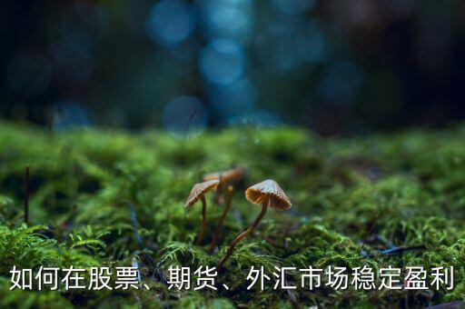 如何在股票、期貨、外匯市場穩(wěn)定盈利