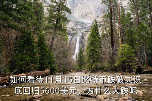如何看待11月15日比特幣跌破共識底回歸5600美元，為什么大跌呢