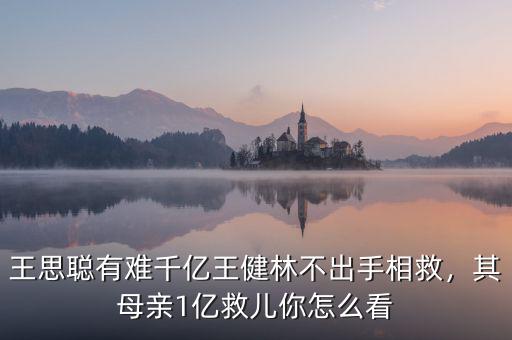 王思聰有難千億王健林不出手相救，其母親1億救兒你怎么看