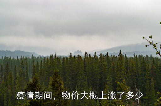 疫情期間，物價(jià)大概上漲了多少