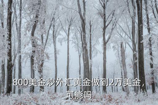 800美金炒外匯黃金做到2萬美金，可能嗎