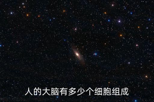 人的大腦有多少個細胞組成