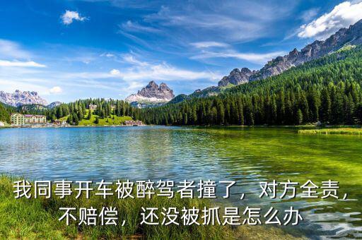 我同事開(kāi)車被醉駕者撞了，對(duì)方全責(zé)，不賠償，還沒(méi)被抓是怎么辦