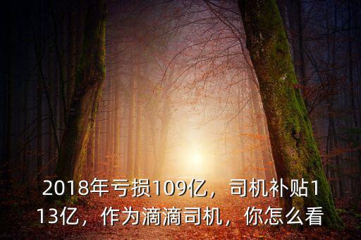 2018年虧損109億，司機(jī)補(bǔ)貼113億，作為滴滴司機(jī)，你怎么看