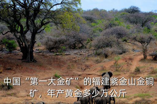 中國(guó)“第一大金礦”的福建紫金山金銅礦，年產(chǎn)黃金多少萬公斤