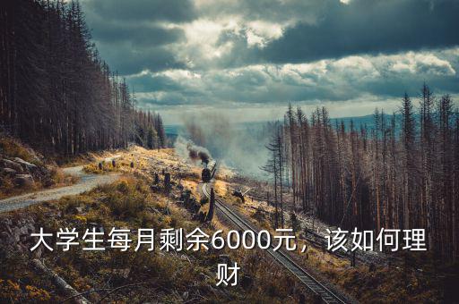 大學(xué)生每月剩余6000元，該如何理財(cái)