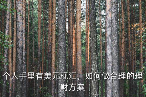 個人手里有美元現(xiàn)匯，如何做合理的理財方案