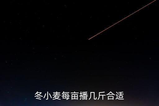 冬小麥畝產多少,冬小麥每畝播幾斤合適