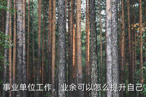 事業(yè)單位工作，業(yè)余可以怎么提升自己