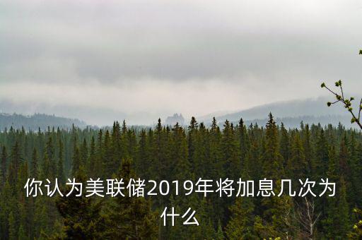 你認(rèn)為美聯(lián)儲(chǔ)2019年將加息幾次為什么