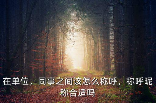 在單位，同事之間該怎么稱呼，稱呼昵稱合適嗎