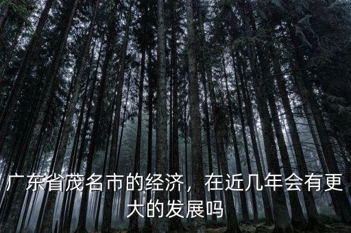 廣東省茂名市的經(jīng)濟(jì)，在近幾年會(huì)有更大的發(fā)展嗎