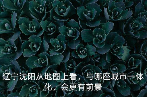 遼寧沈陽從地圖上看，與哪座城市一體化，會更有前景