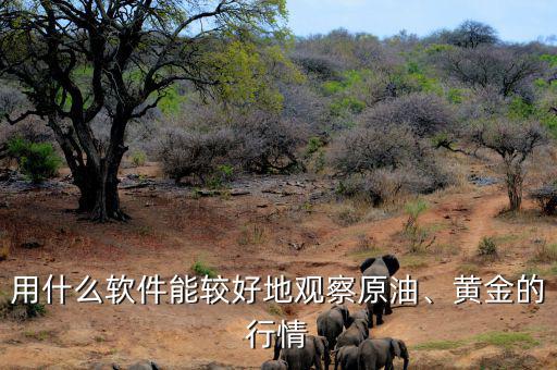 用什么軟件能較好地觀察原油、黃金的行情