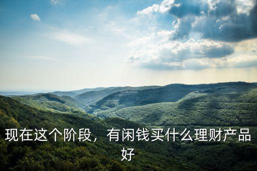 現(xiàn)在這個階段，有閑錢買什么理財產(chǎn)品好
