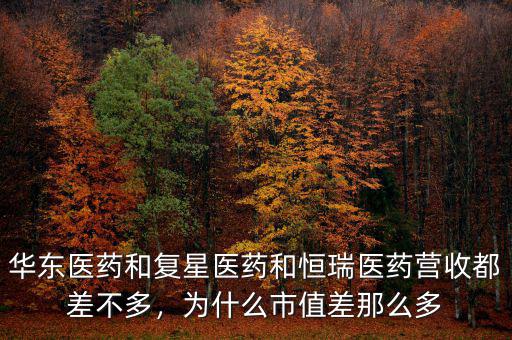 華東醫(yī)藥和復(fù)星醫(yī)藥和恒瑞醫(yī)藥營(yíng)收都差不多，為什么市值差那么多