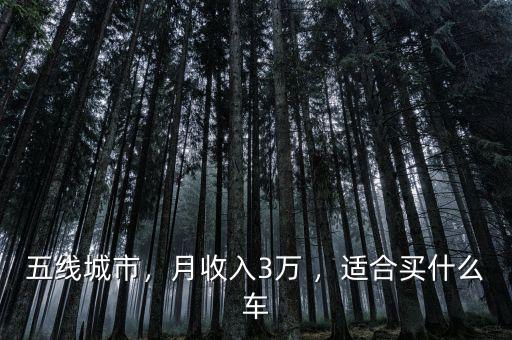 五線城市，月收入3萬 ，適合買什么車