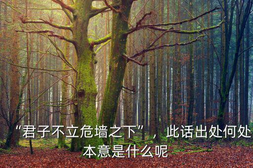 “君子不立危墻之下”，此話出處何處本意是什么呢