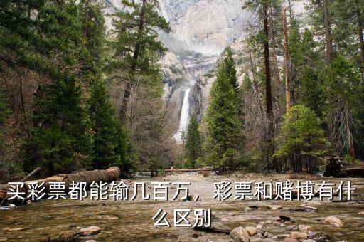 買彩票都能輸幾百萬，彩票和賭博有什么區(qū)別