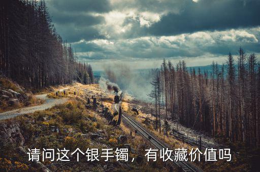 請問這個(gè)銀手鐲，有收藏價(jià)值嗎