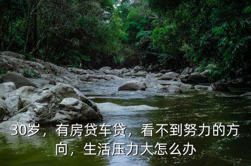 30歲，有房貸車貸，看不到努力的方向，生活壓力大怎么辦
