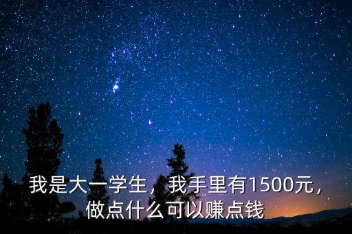 我是大一學(xué)生，我手里有1500元，做點什么可以賺點錢
