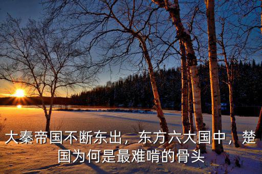 大秦帝國不斷東出，東方六大國中，楚國為何是最難啃的骨頭
