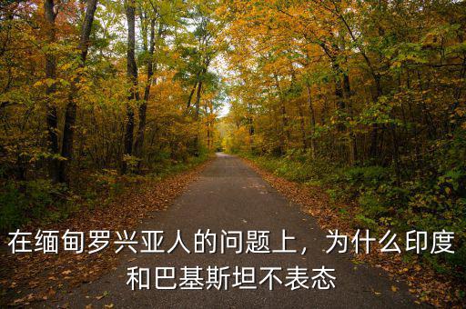在緬甸羅興亞人的問題上，為什么印度和巴基斯坦不表態(tài)