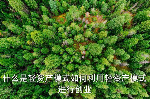 什么是輕資產(chǎn)模式如何利用輕資產(chǎn)模式進行創(chuàng)業(yè)
