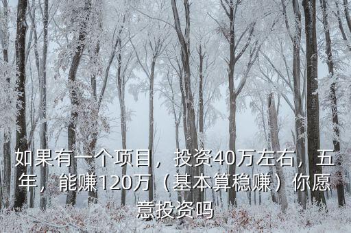 如果有一個項目，投資40萬左右，五年，能賺120萬（基本算穩(wěn)賺）你愿意投資嗎