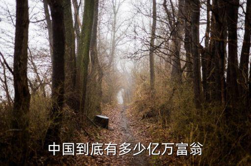中國(guó)到底有多少億萬富翁