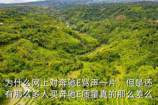 為什么網(wǎng)上對(duì)奔馳E罵聲一片，但是還有那么多人買(mǎi)奔馳E質(zhì)量真的那么差么