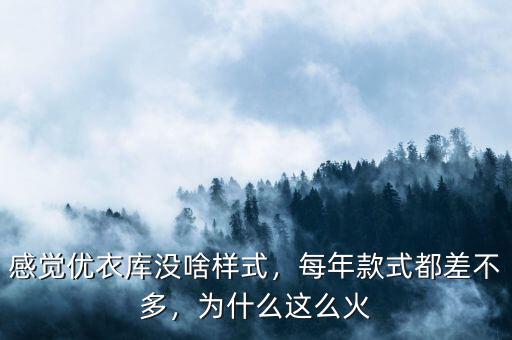 感覺優(yōu)衣庫沒啥樣式，每年款式都差不多，為什么這么火