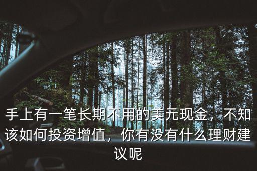 手上有一筆長(zhǎng)期不用的美元現(xiàn)金，不知該如何投資增值，你有沒(méi)有什么理財(cái)建議呢