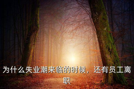 為什么失業(yè)潮來(lái)臨的時(shí)候，還有員工離職