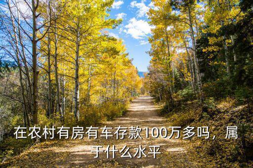 在農(nóng)村有房有車(chē)存款100萬(wàn)多嗎，屬于什么水平