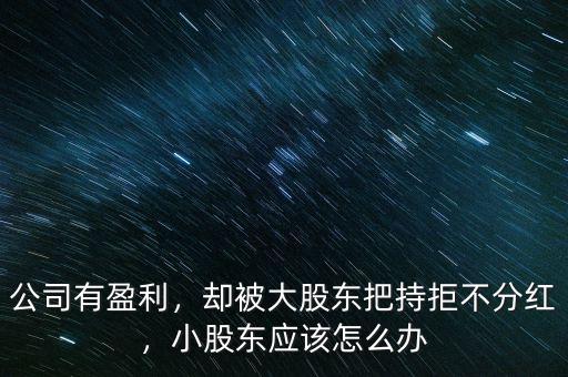 公司有盈利，卻被大股東把持拒不分紅，小股東應(yīng)該怎么辦