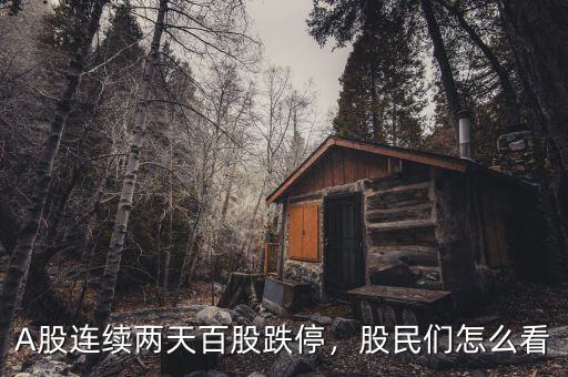 A股連續(xù)兩天百股跌停，股民們怎么看