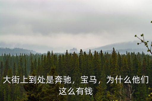 大街上到處是奔馳，寶馬，為什么他們這么有錢(qián)