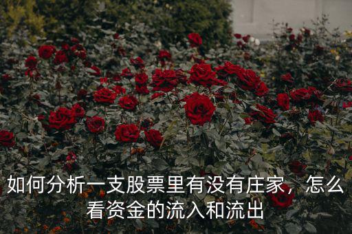 如何分析一支股票里有沒(méi)有莊家，怎么看資金的流入和流出